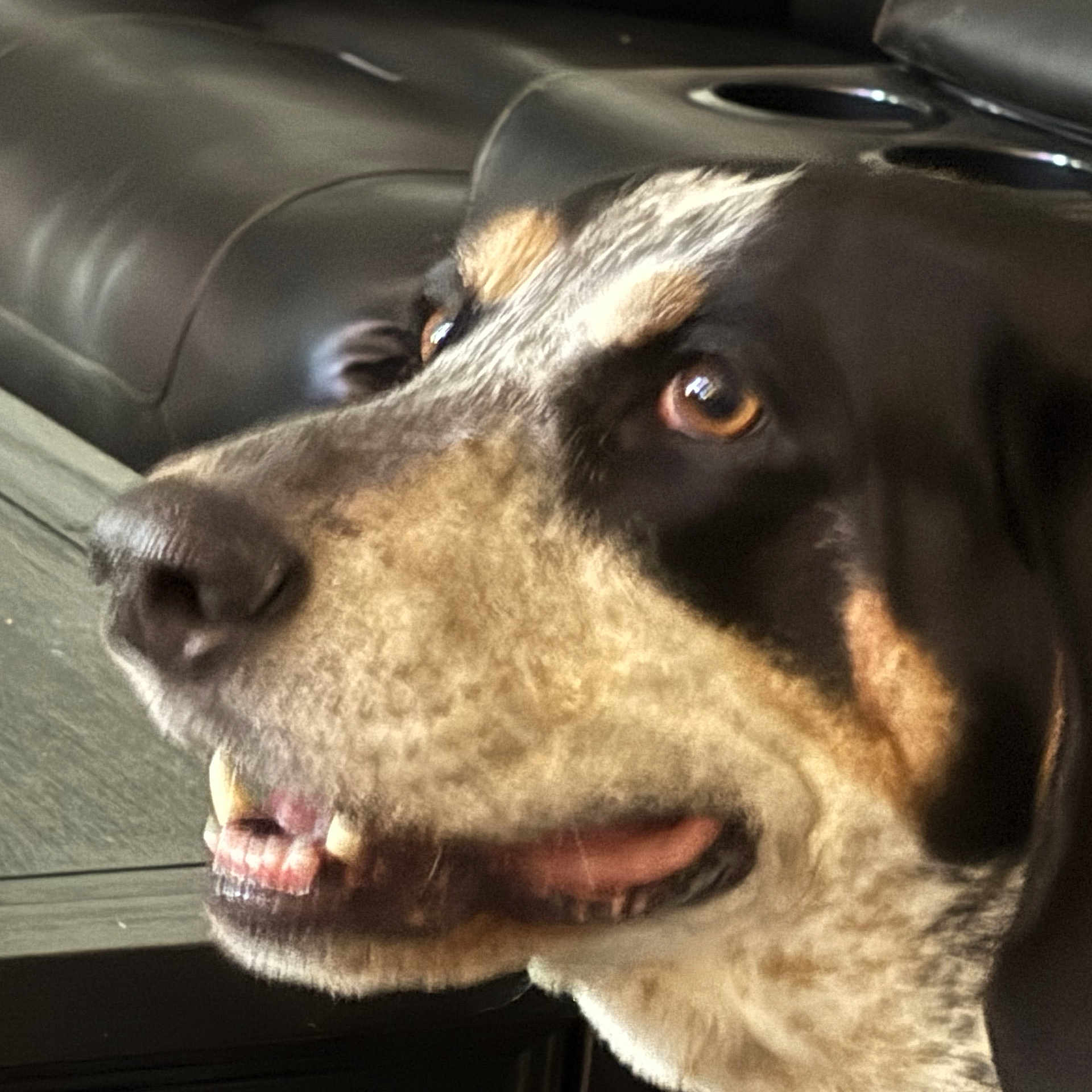 Ruger