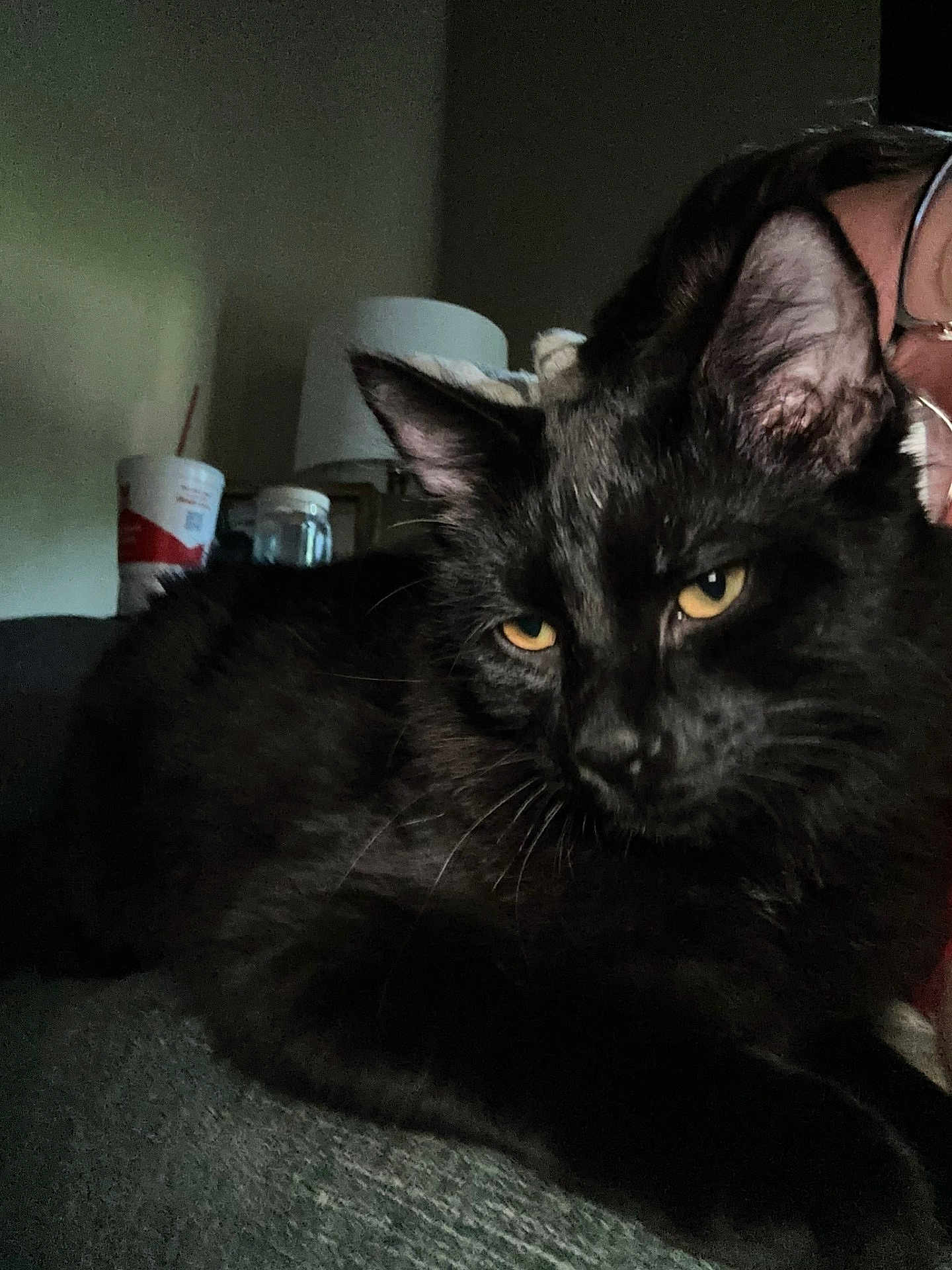 Milo