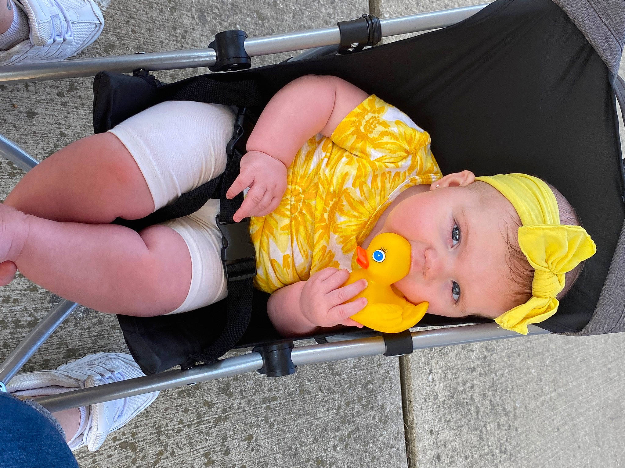 Fryea joined the competition — help win amazing prizes! abdomen, baby, baby_products, baby_toddler_clothing, calf, chest, comfort, elbow, foot, fun, human_leg, knee, leg, leisure, orange, person, shorts, sitting, thigh, toddler