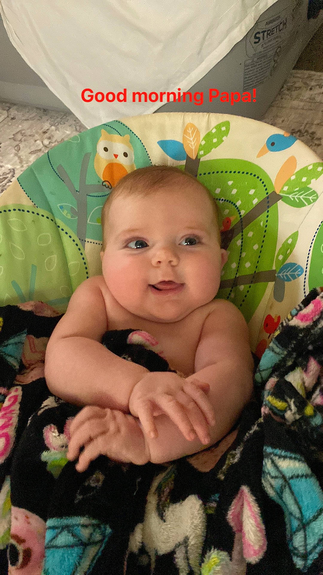 Fryea joined the competition — help win amazing prizes! baby, baby_products, baby_toddler_clothing, cheek, child, event, eyelash, fun, grass, green, happy, iris, leaf, linens, pattern, person, sitting, skin, smile, toddler