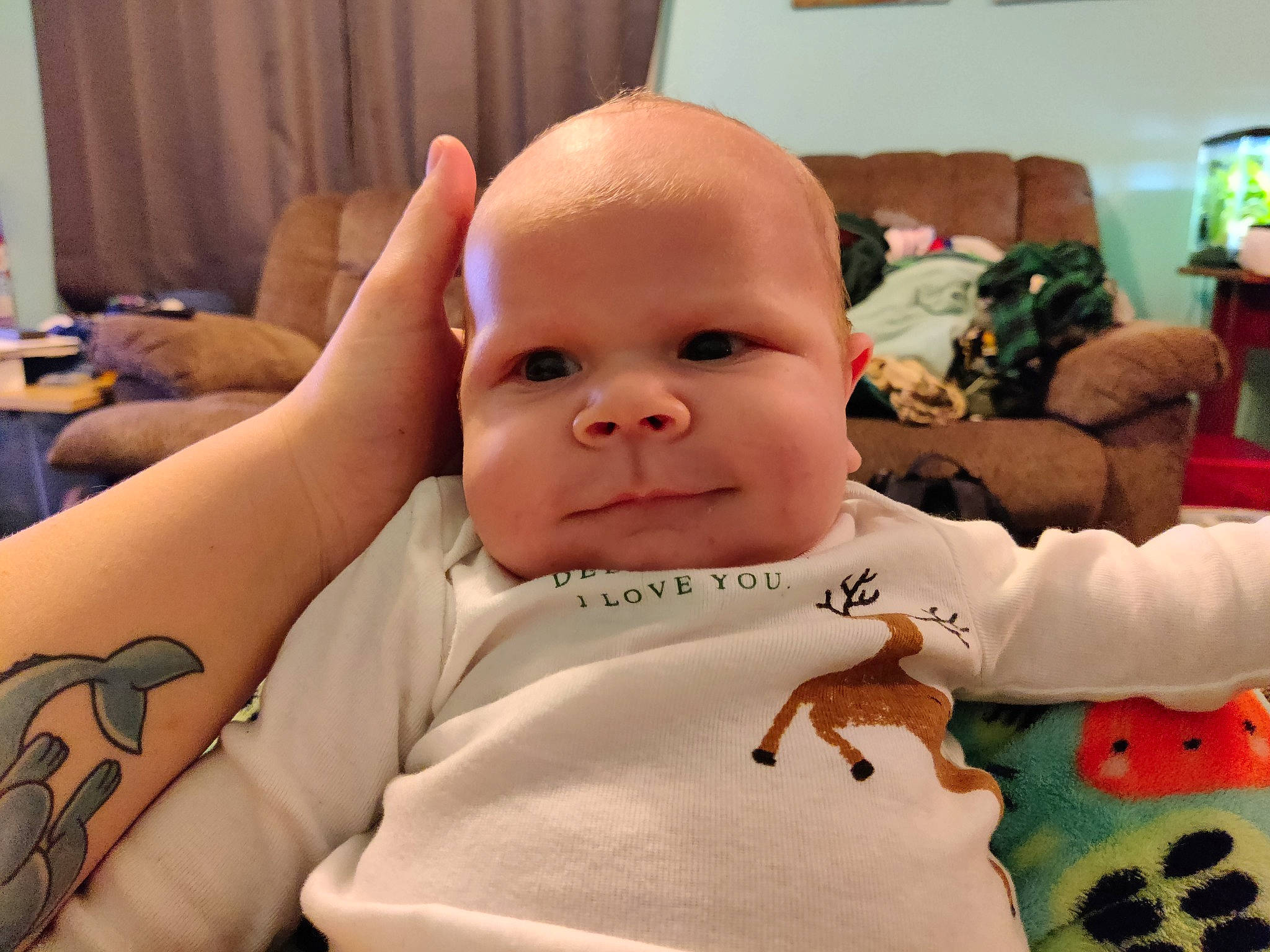 Leonidas is registered to the contest to win money with this photo: baby, baby_safety, baby_toddler_clothing, cheek, child, chin, comfort, eyebrow, finger, gesture, happy, head, linens, mouth, nose, person, room, skin, sleeve, thumb