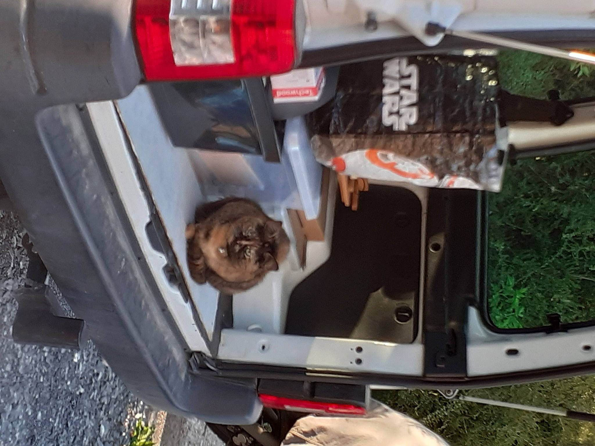 Lagertha a rejoint le concours — aidez-le/la à gagner de superbes lots ! auto_part, automotive_exterior, automotive_lighting, automotive_parking_light, automotive_tail_brake_light, automotive_tire, bumper, car, fender, gas, hood, land_vehicle, mode_of_transport, motor_vehicle, plant, tire, trunk, vehicle, vehicle_door, wheel