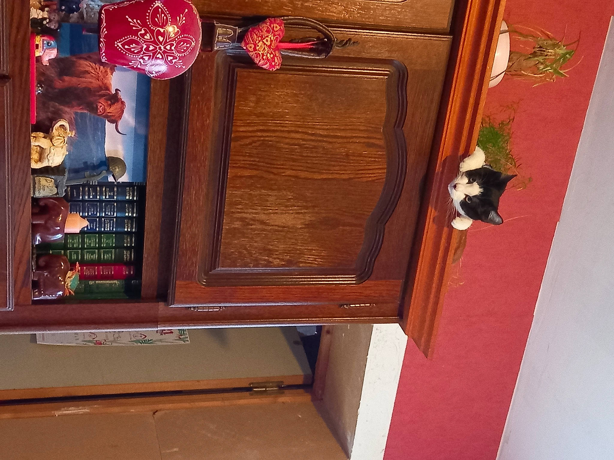 Sherlock participe au concours pour gagner de l'argent avec cette photo : antique, brown, building, door, flooring, hardwood, home_door, machine, magenta, pattern, plant, plywood, rectangle, red, room, shelving, varnish, wall, wood, wood_stain