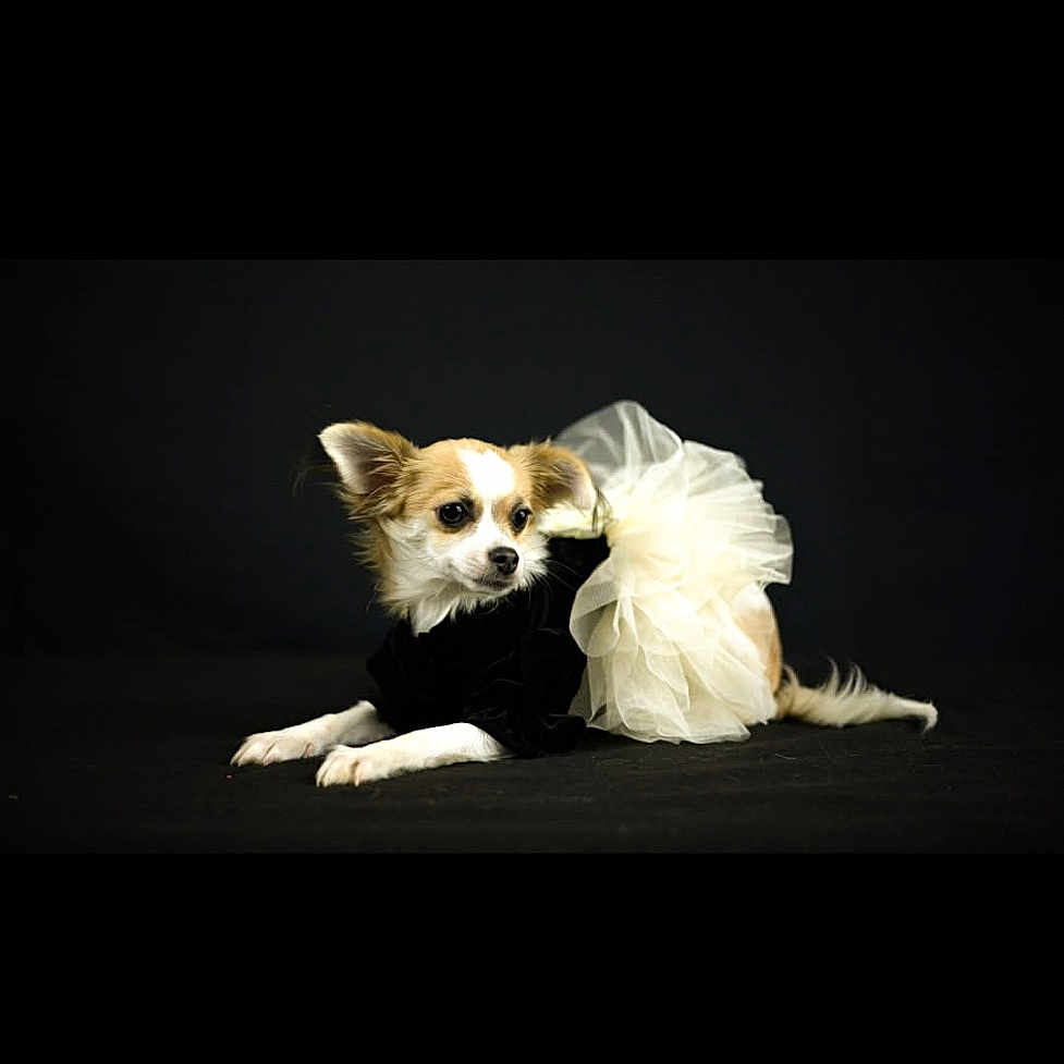 Freyja