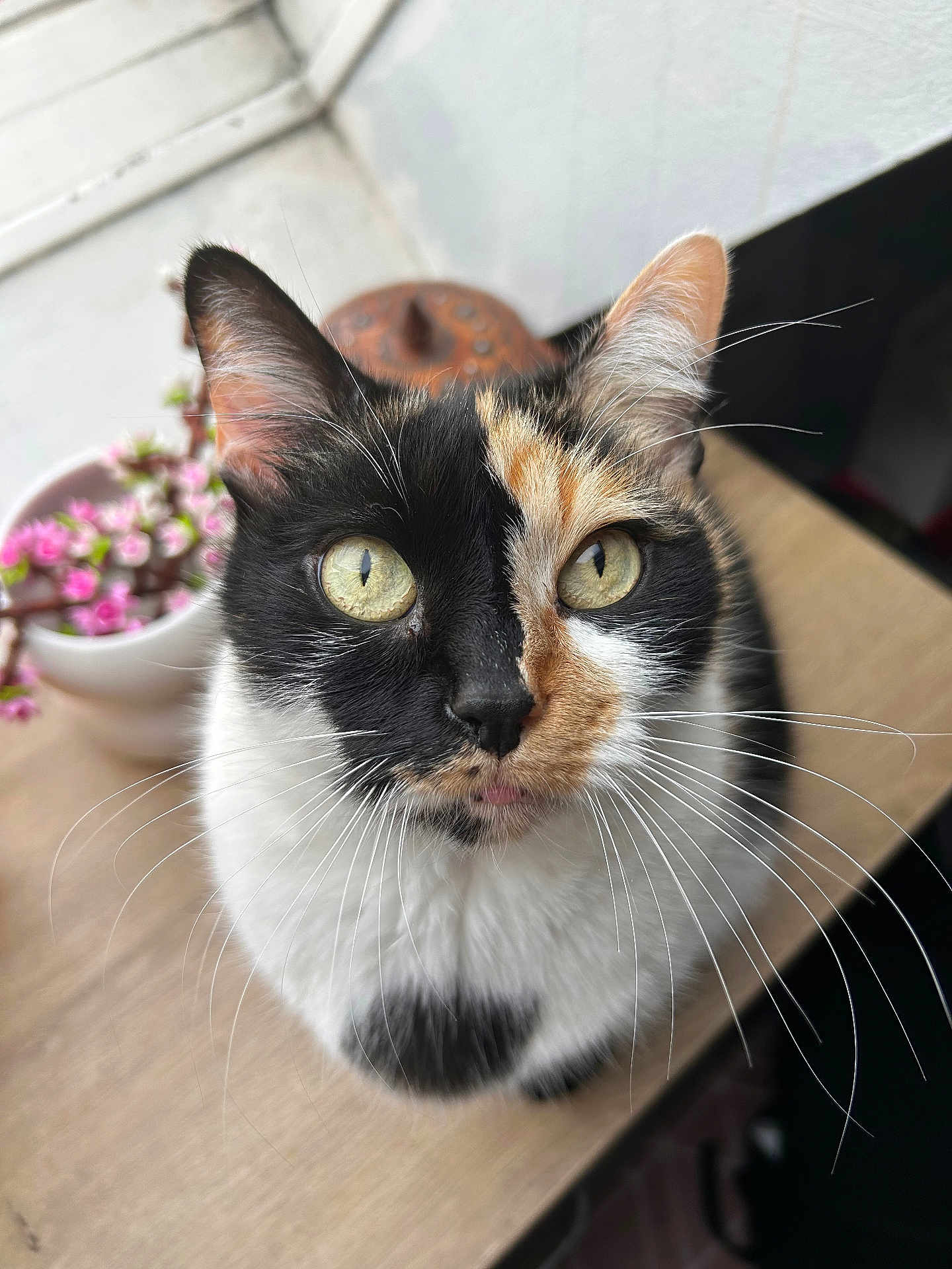 Luna