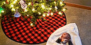 Jahmari joined the competition — help win amazing prizes! baby, blanket, carpet, christmas_tree, christmas_lights, ornaments, holiday, festive, red_and_black_checkered, tree_skirt, indoor, decorations, infant, floor, cozy, soft_lighting, wrapped, cute, celebration, seasonal
