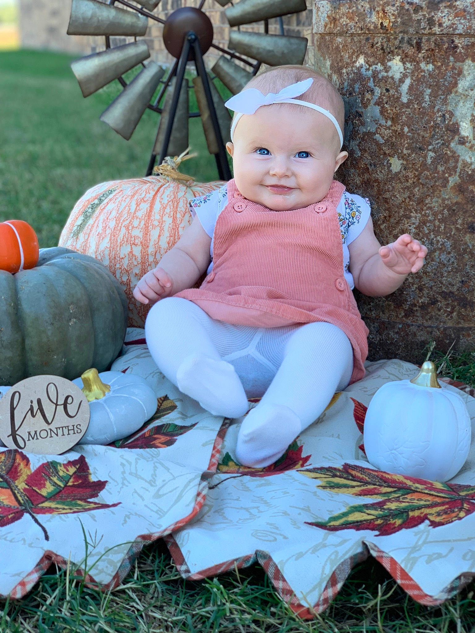 Oaklee is registered to the contest to win money with this photo: baby, baby_toddler_clothing, ball, child, fun, grass, green, happy, headwear, human_body, joy, lap, leisure, mammal, people_in_nature, person, plant, pumpkin, sitting, smile