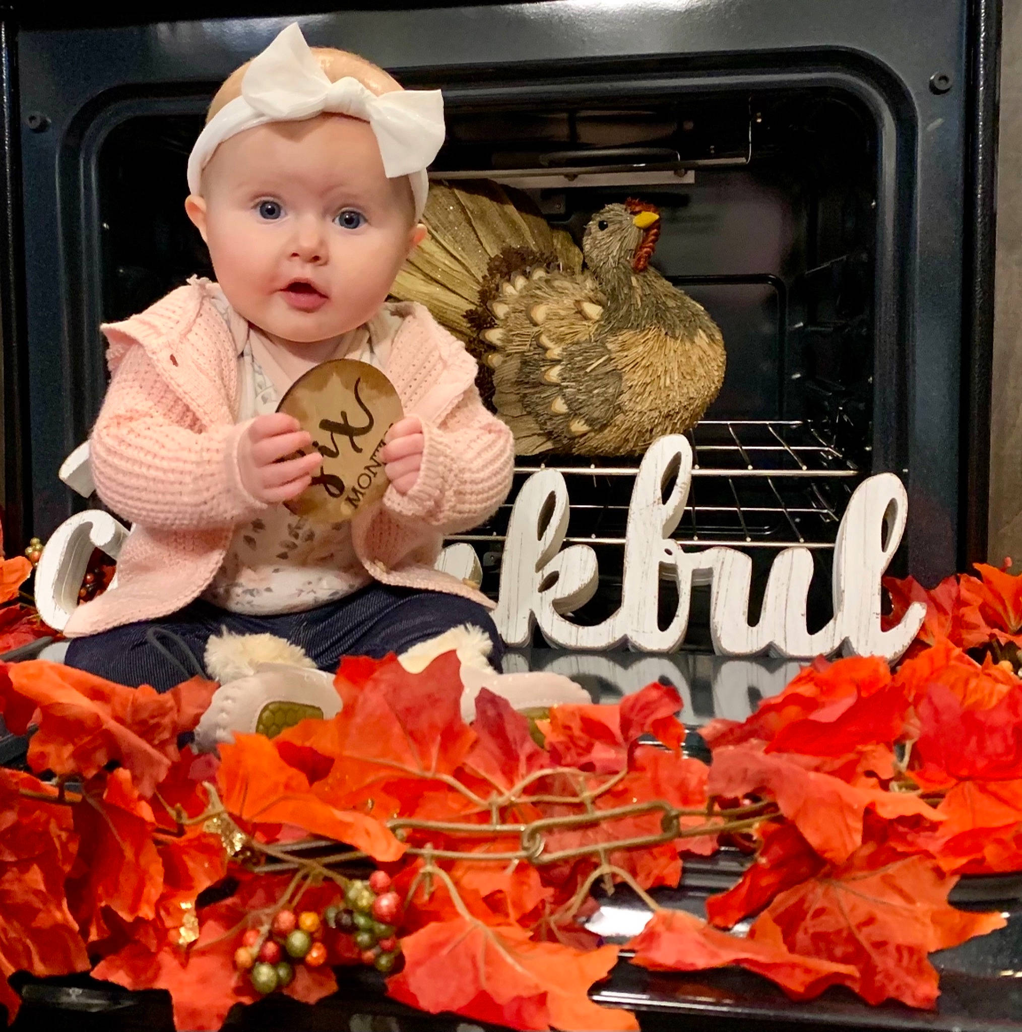 Oaklee joined the competition — help win amazing prizes! art, baby, baby_toddler_clothing, bird, deciduous, fictional_character, font, galliformes, happy, orange, peach, person, petal, photo_caption, picture_frame, plant, surprise, textile, toddler, toy