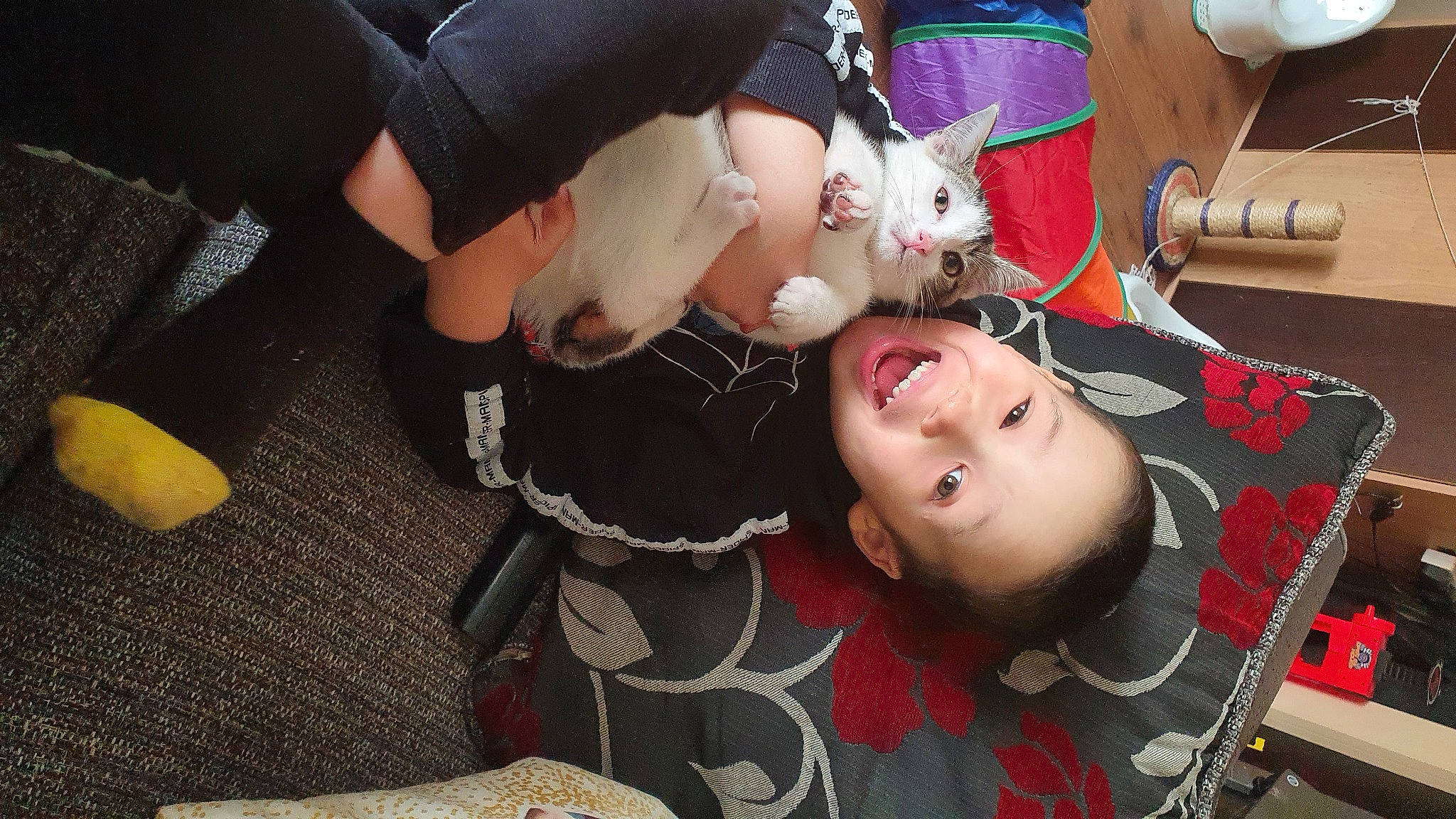 Gizmo is registered to the contest to win money with this photo: black_hair, child, costume, event, eyelash, felidae, fun, fur, gesture, happy, human_leg, lap, long_hair, mouth, pattern, selfie, skin, thigh, toy, whiskers