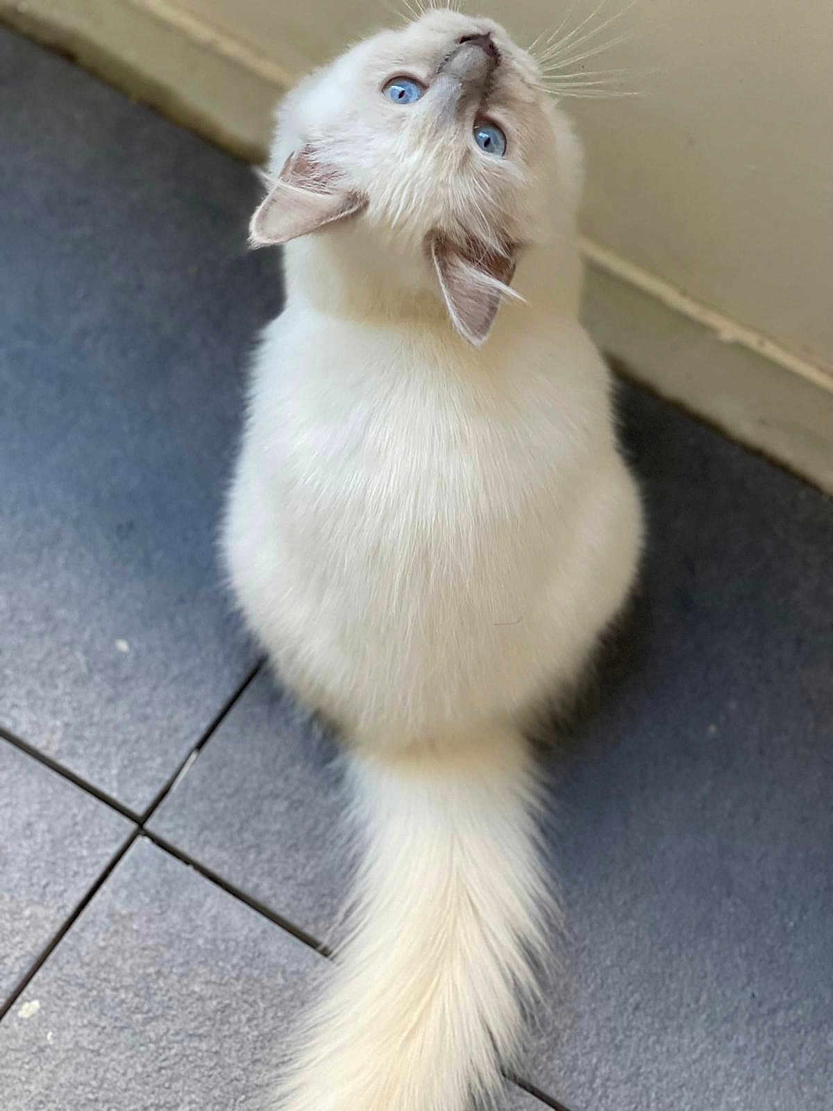 Zeus