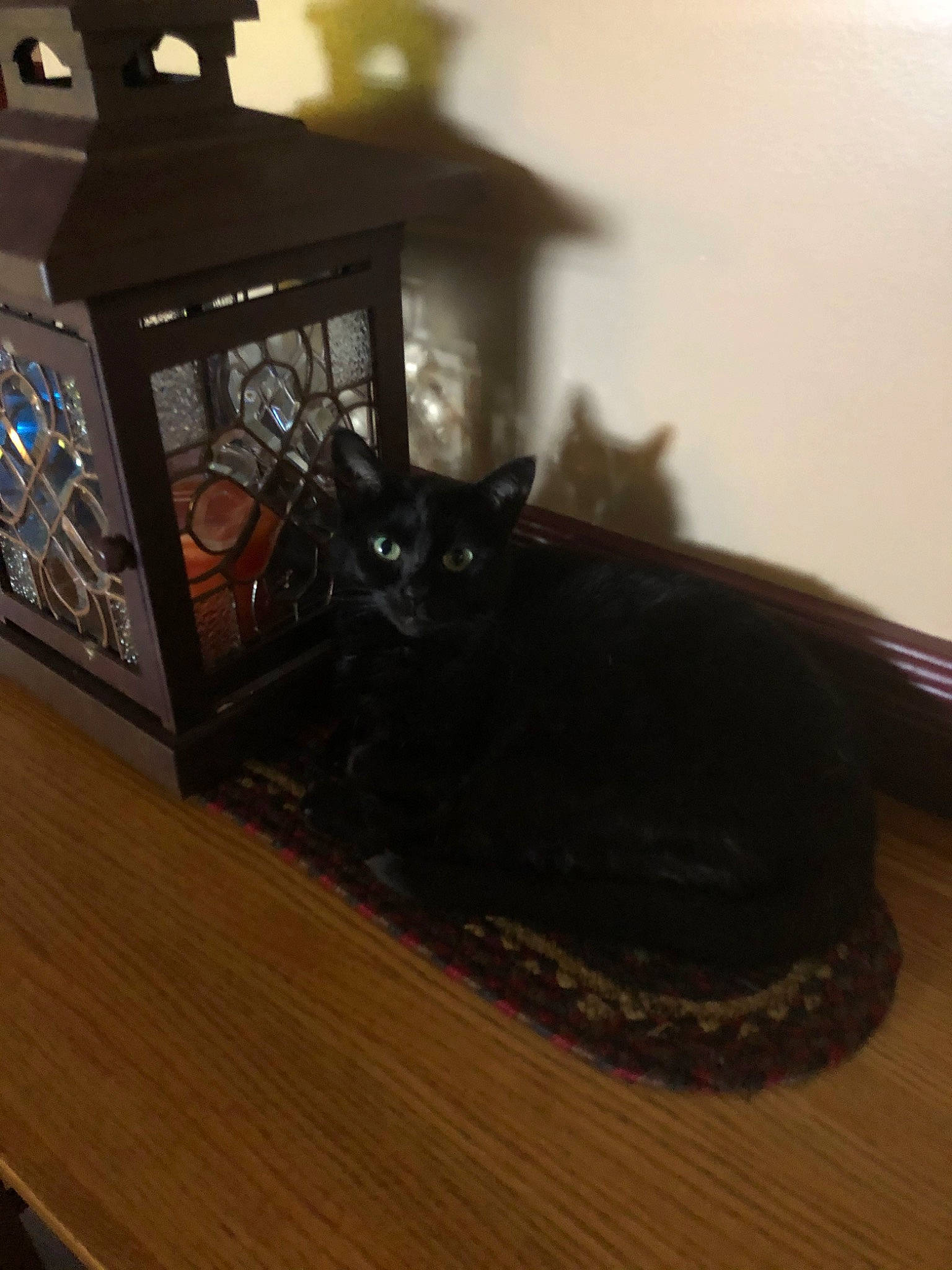 Scarlett joined the competition — help win amazing prizes! vehicle