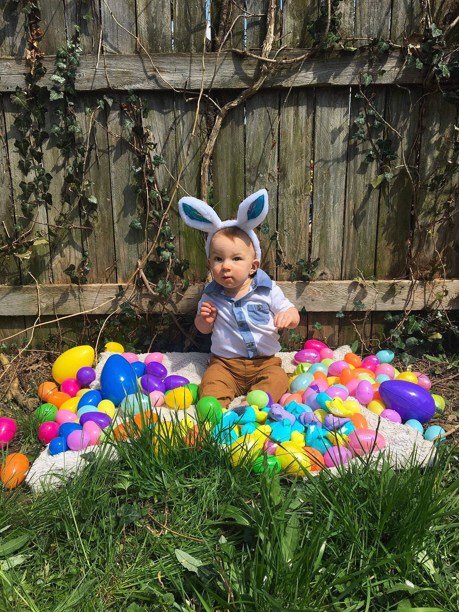 Kylo joined the competition — help win amazing prizes! adaptation, child, ear, easter, easter_bunny, easter_egg, fawn, flower, fun, grass, happy, holiday, person, plant, play, spring, toddler, vacation, wildflower