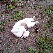 Moustick participe au concours pour gagner de l'argent avec cette photo :