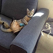 Guimoz a rejoint le concours — aidez-le/la à gagner de superbes lots !