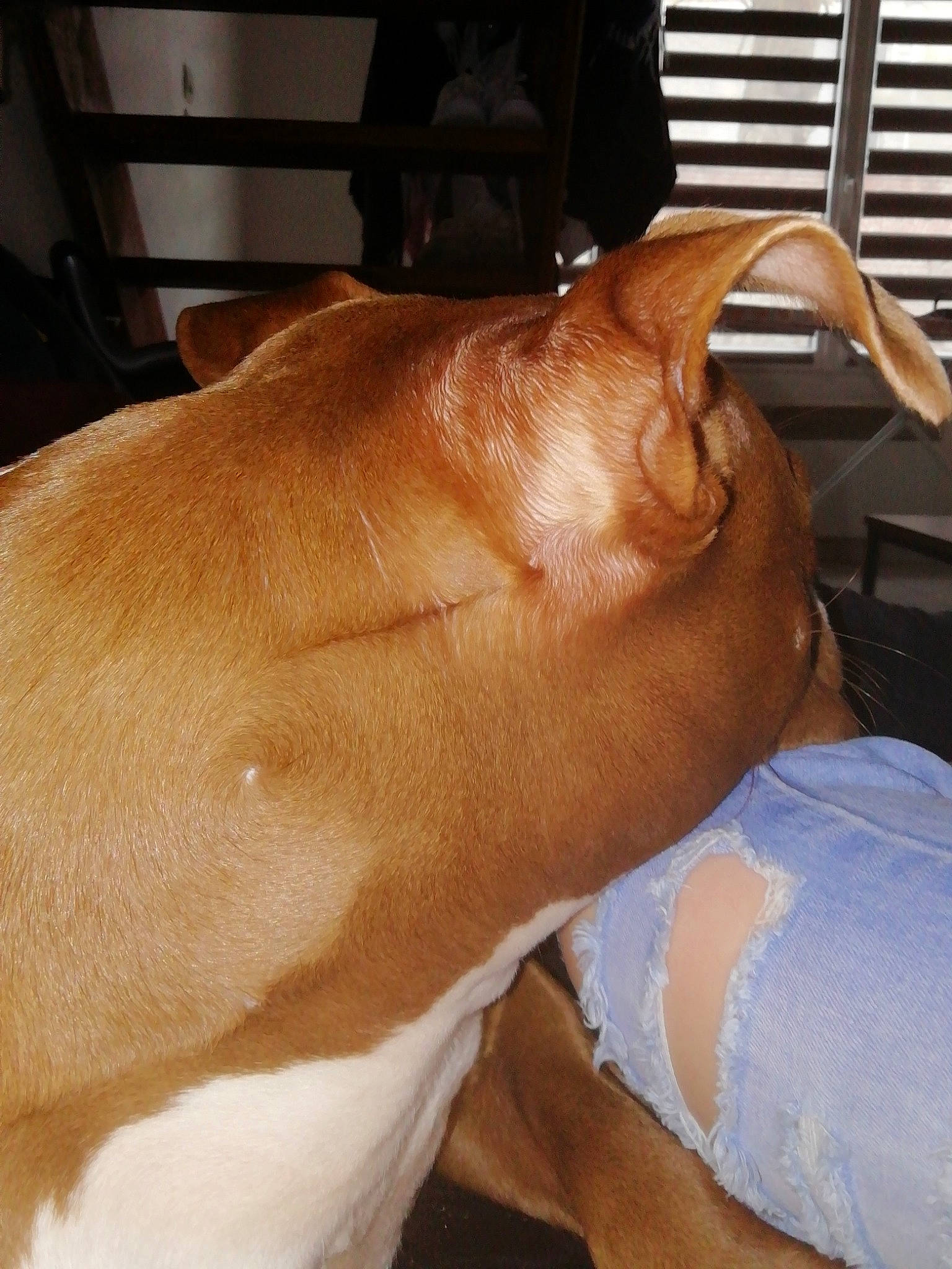 Phara a rejoint le concours — aidez-le/la à gagner de superbes lots ! arm, ear, fawn, finger, goats, hand, joint, leg, muscle