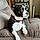 Snoopy
