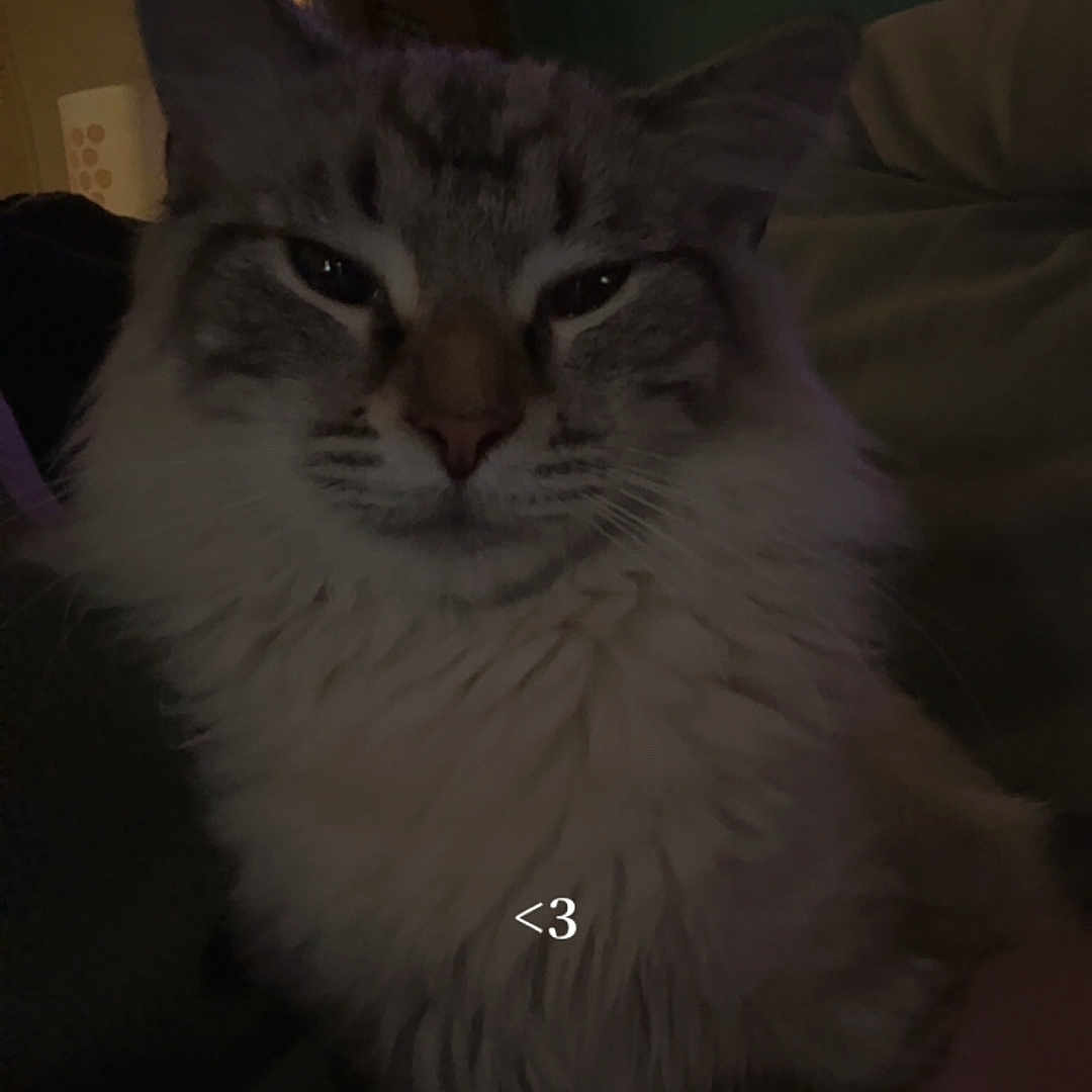 Mr Winston
