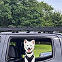 dog, white_dog, pet, car_window, vehicle, suv, harness, tongue_out, smiling, seat, passenger, grass, trees, park, outdoor, roof_rack, happy, canine, window_frame, nature