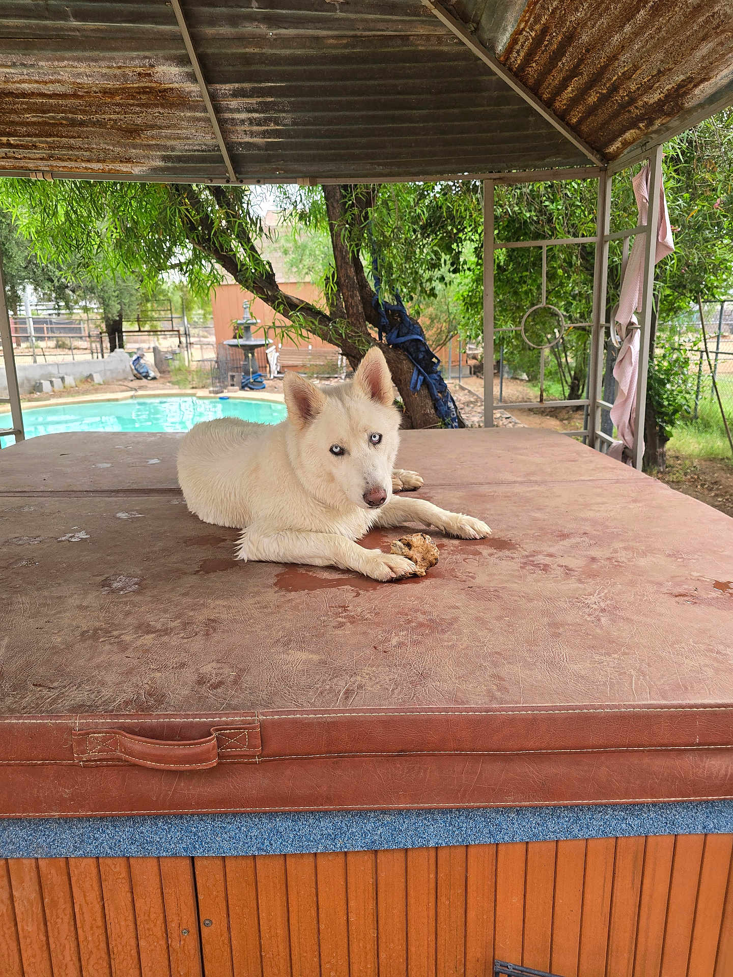 Athena
