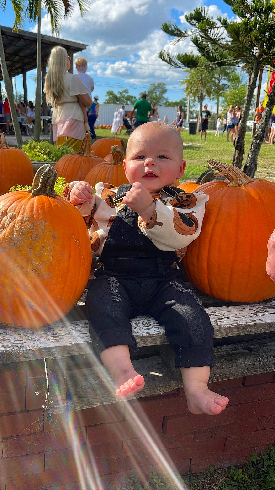 Hudson is registered to the contest to win money with this photo: baby, calabaza, cloud, cucurbita, fun, gourd, leaf, leisure, local_food, natural_foods, orange, person, plant, pumpkin, shorts, sky, squash, toddler, vegetable, whole_food