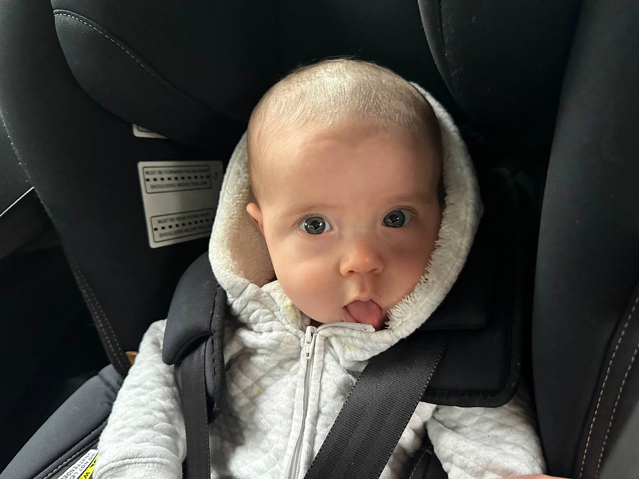 Levi is registered to the contest to win money with this photo: auto_part, automotive_design, baby, baby_carriage, baby_in_car_seat, baby_products, baby_safety, baby_toddler_clothing, car_seat, car_seat_cover, cheek, child, comfort, family_car, head_restraint, luxury_vehicle, person, seat_belt, sitting, toddler