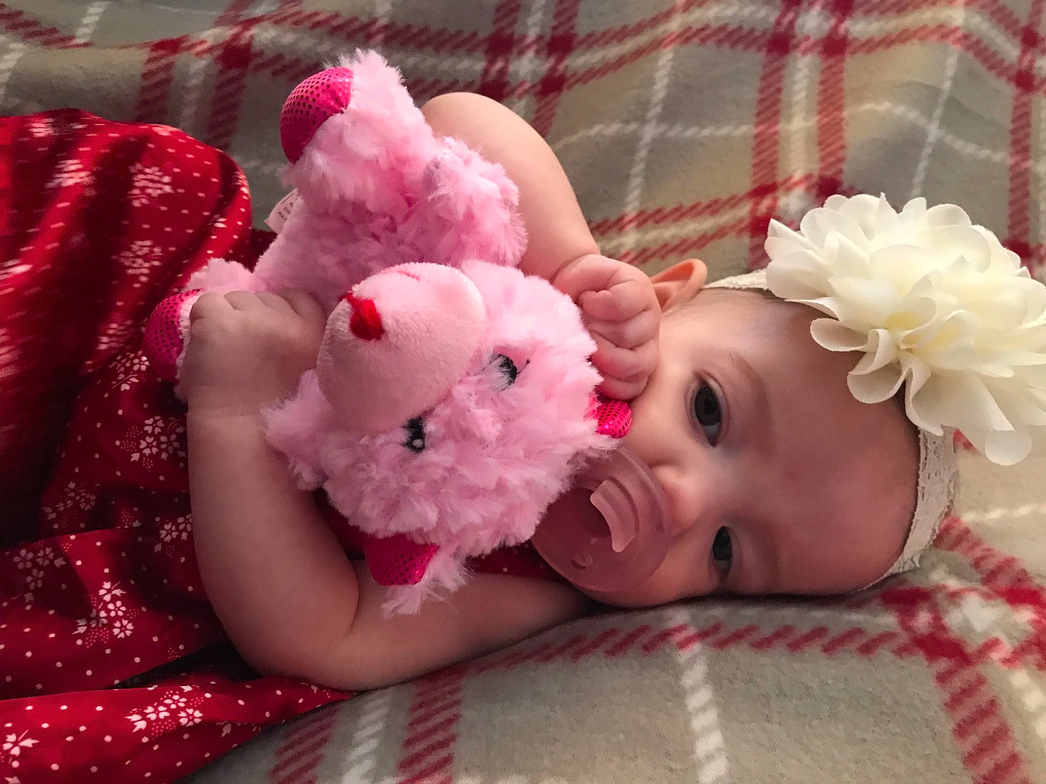 Everleigh joined the competition — help win amazing prizes! baby, cheek, child, ear, foot, fur, head, headgear, headwear, leg, nose, person, pink, stuffed_toy, toddler