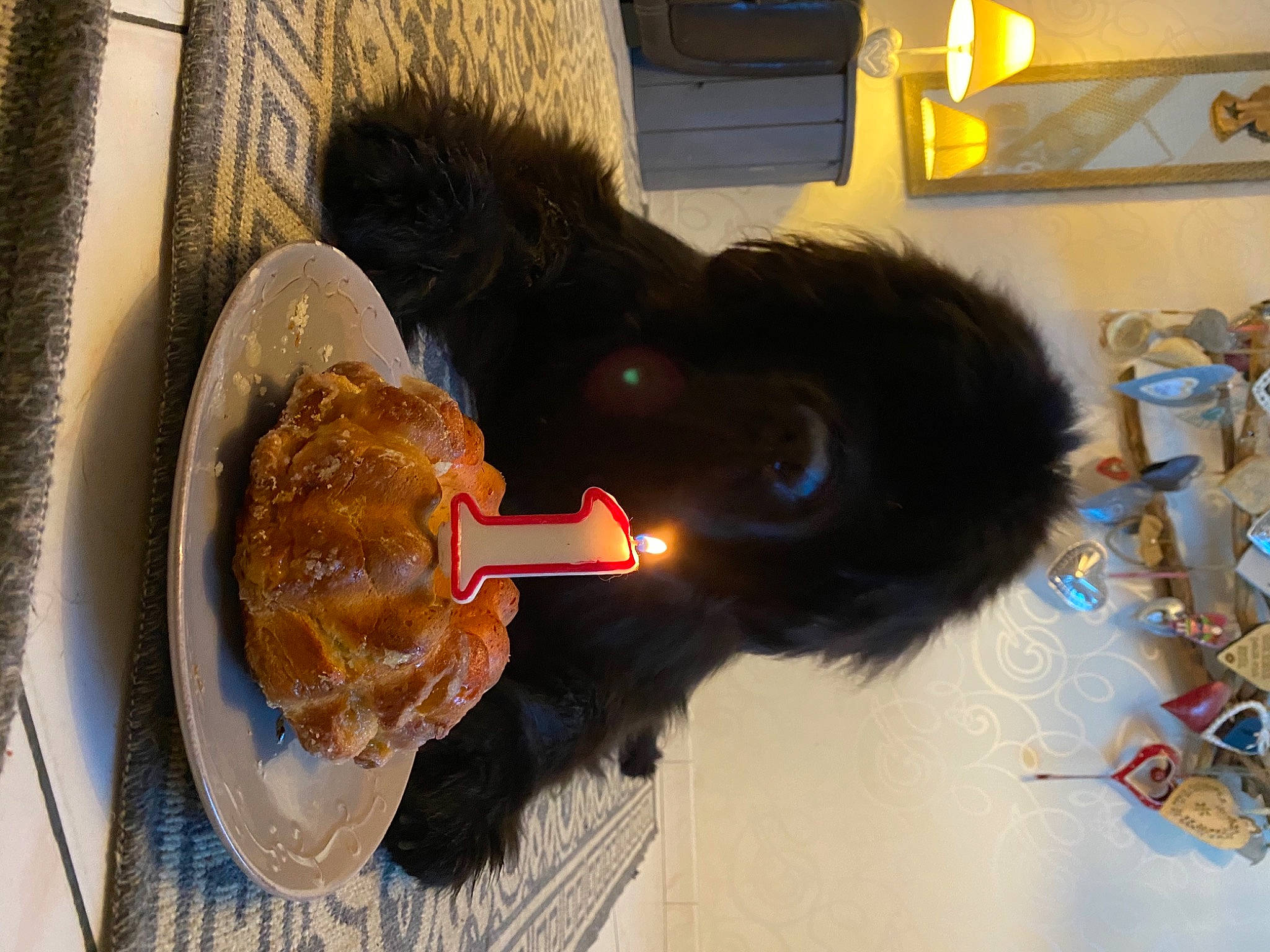 Prospeyr participe au concours pour gagner de l'argent avec cette photo : fur