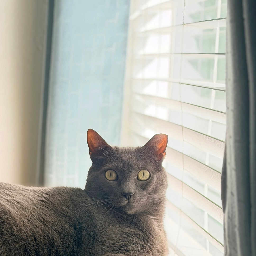 Oskar
