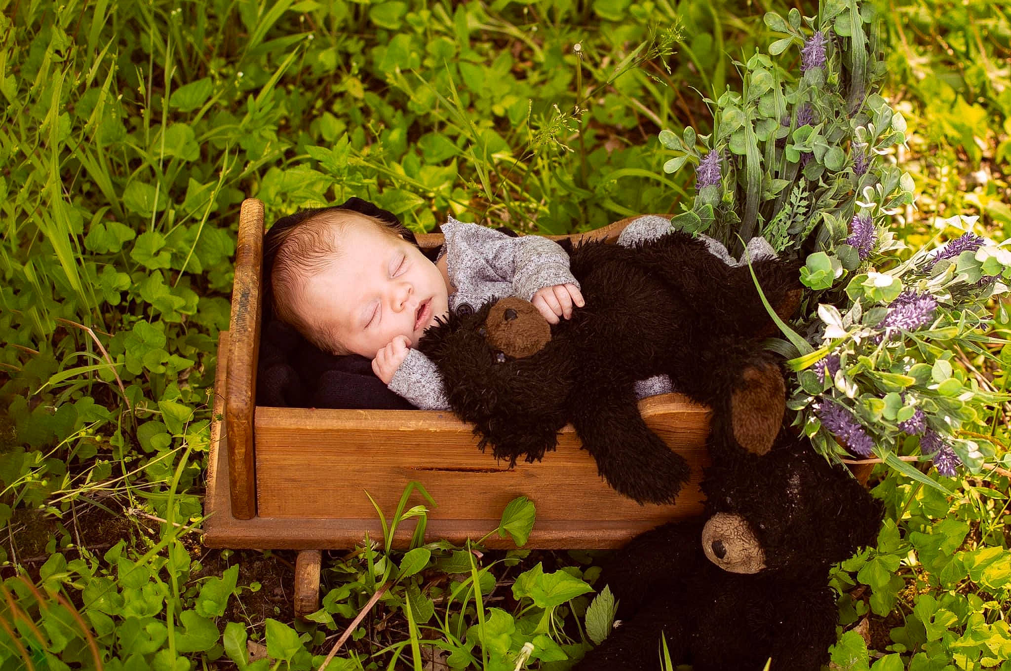 Corbyn is registered to the contest to win money with this photo: baby, flower, fun, garden, grass, grass_family, grassland, groundcover, happy, landscape, lawn, leisure, meadow, people_in_nature, person, plant, shrub, sitting, toddler, tree