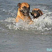 Vicky a rejoint le concours — aidez-le/la à gagner de superbes lots !