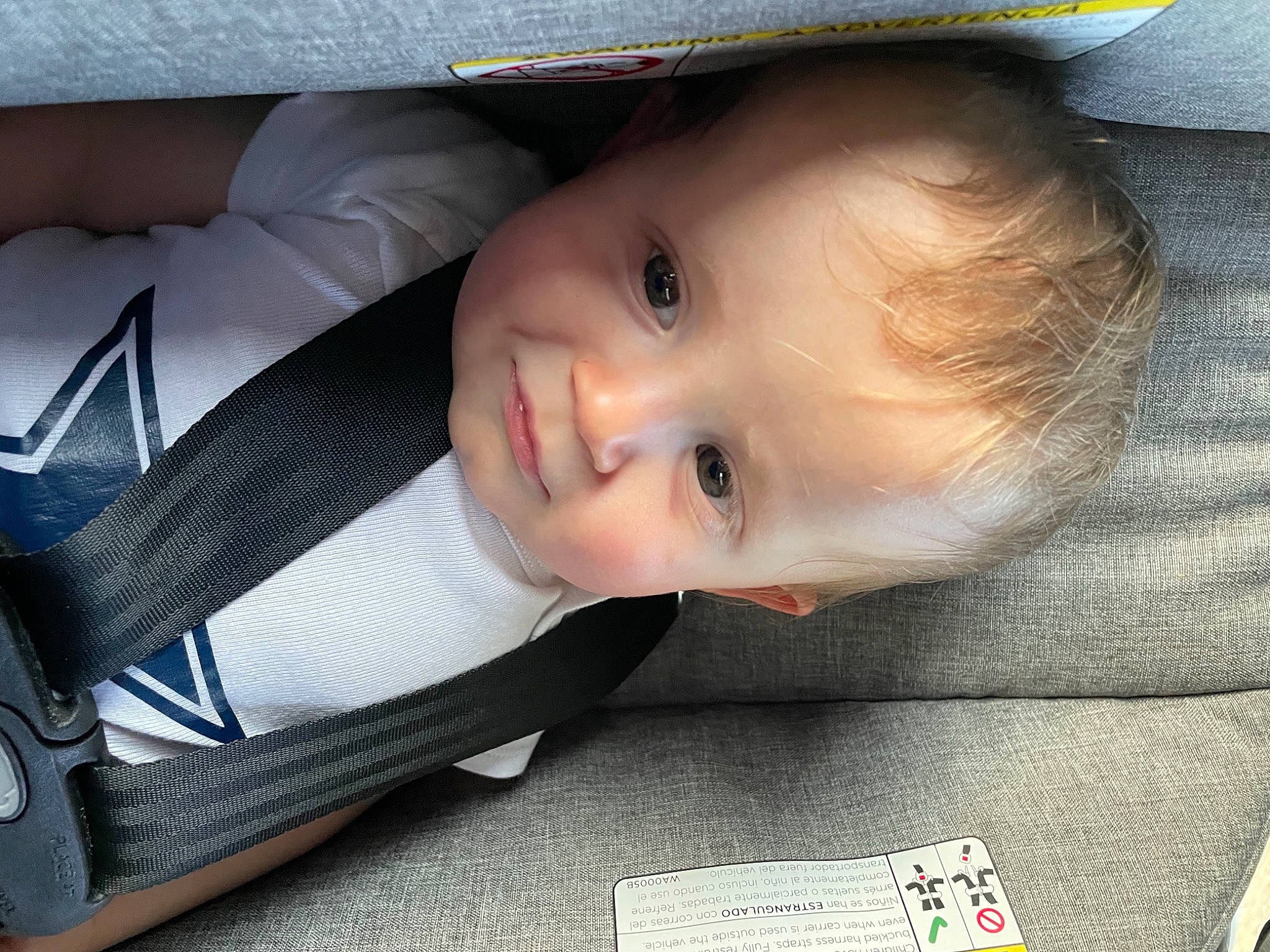 Donald joined the competition — help win amazing prizes! auto_part, baby, baby_carriage, baby_products, baby_toddler_clothing, car_seat, cheek, child, comfort, cool, couch, facial_expression, iris, lip, mammal, nose, person, sitting, smile, toddler