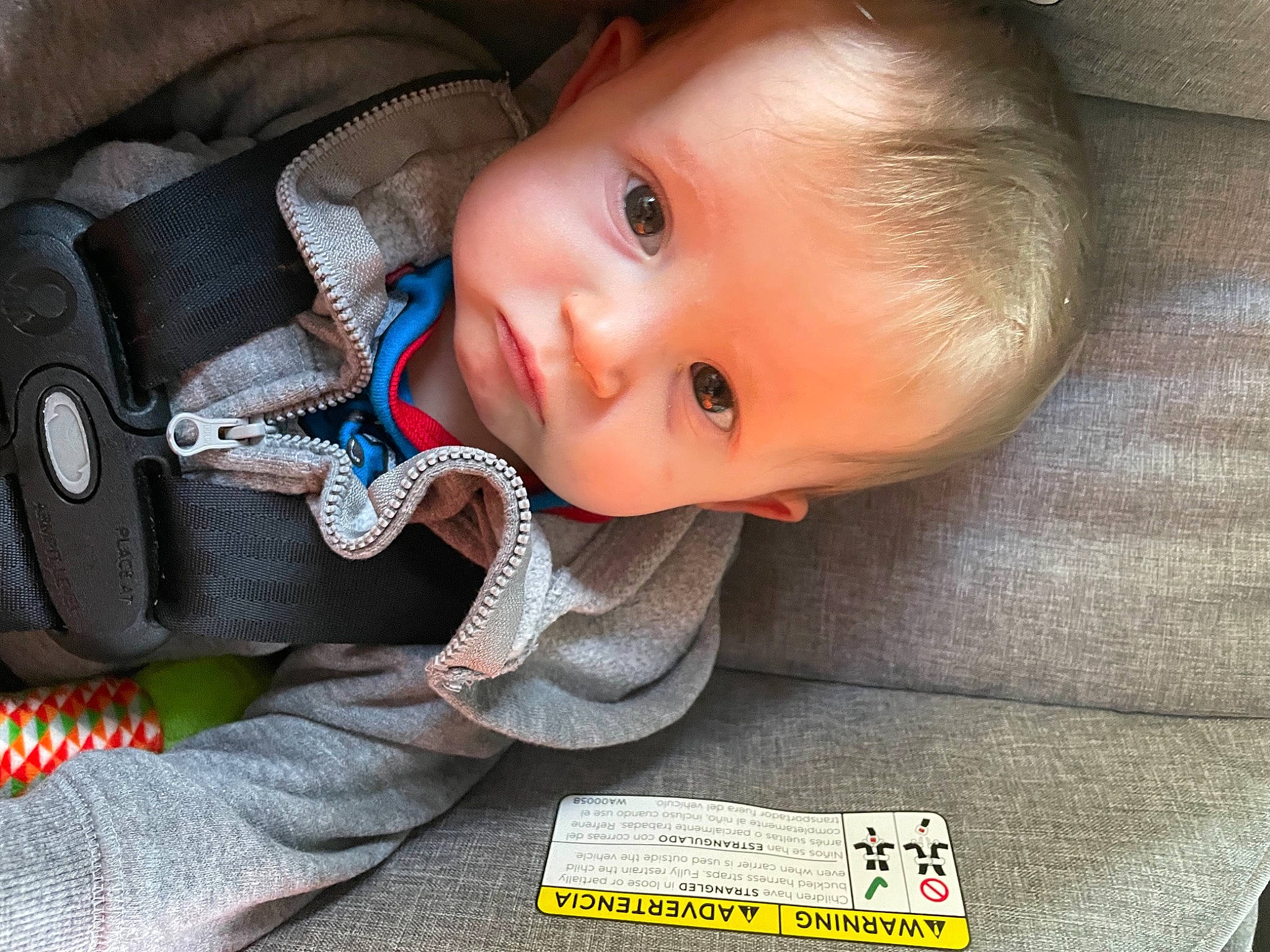 Donald joined the competition — help win amazing prizes! baby, baby_products, baby_toddler_clothing, car_seat, cheek, child, comfort, eye, eyebrow, face, happy, head, iris, lip, mouth, nose, person, skin, sleeve, smile