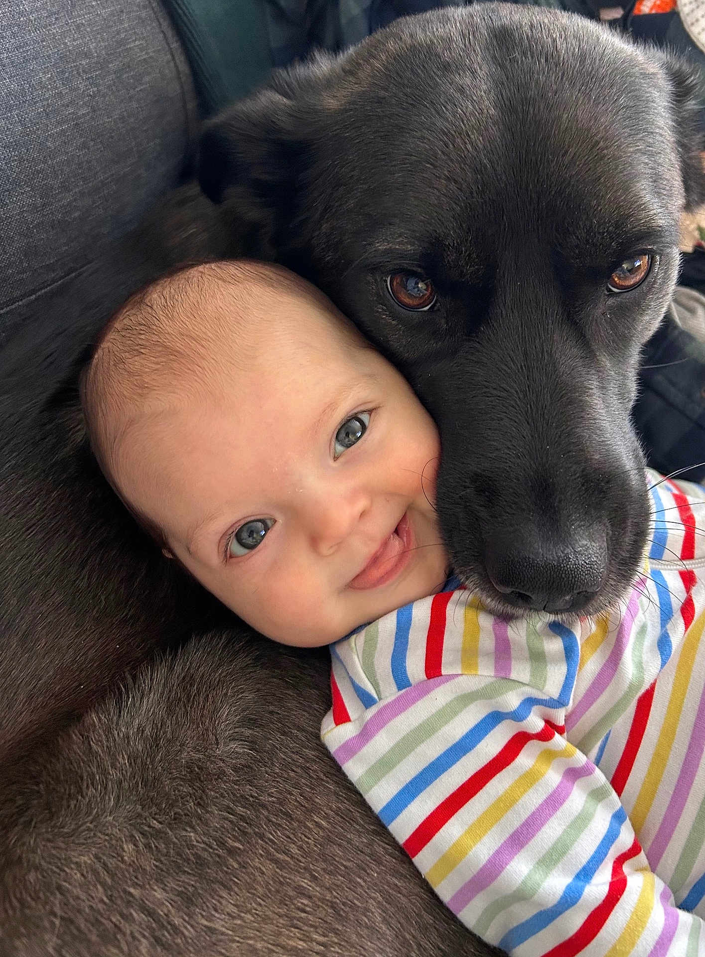 Nora is registered to the contest to win money with this photo: baby, dog, close_up, face, smile, friendship, animal, child, cuddle, pet, striped_clothing, indoor, portrait, cozy, bond, head, fur, cute, happy, love