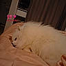 Luna participe au concours pour gagner de l'argent avec cette photo :