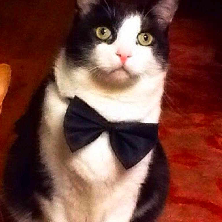 Cooper is registered to the contest to win money with this photo: