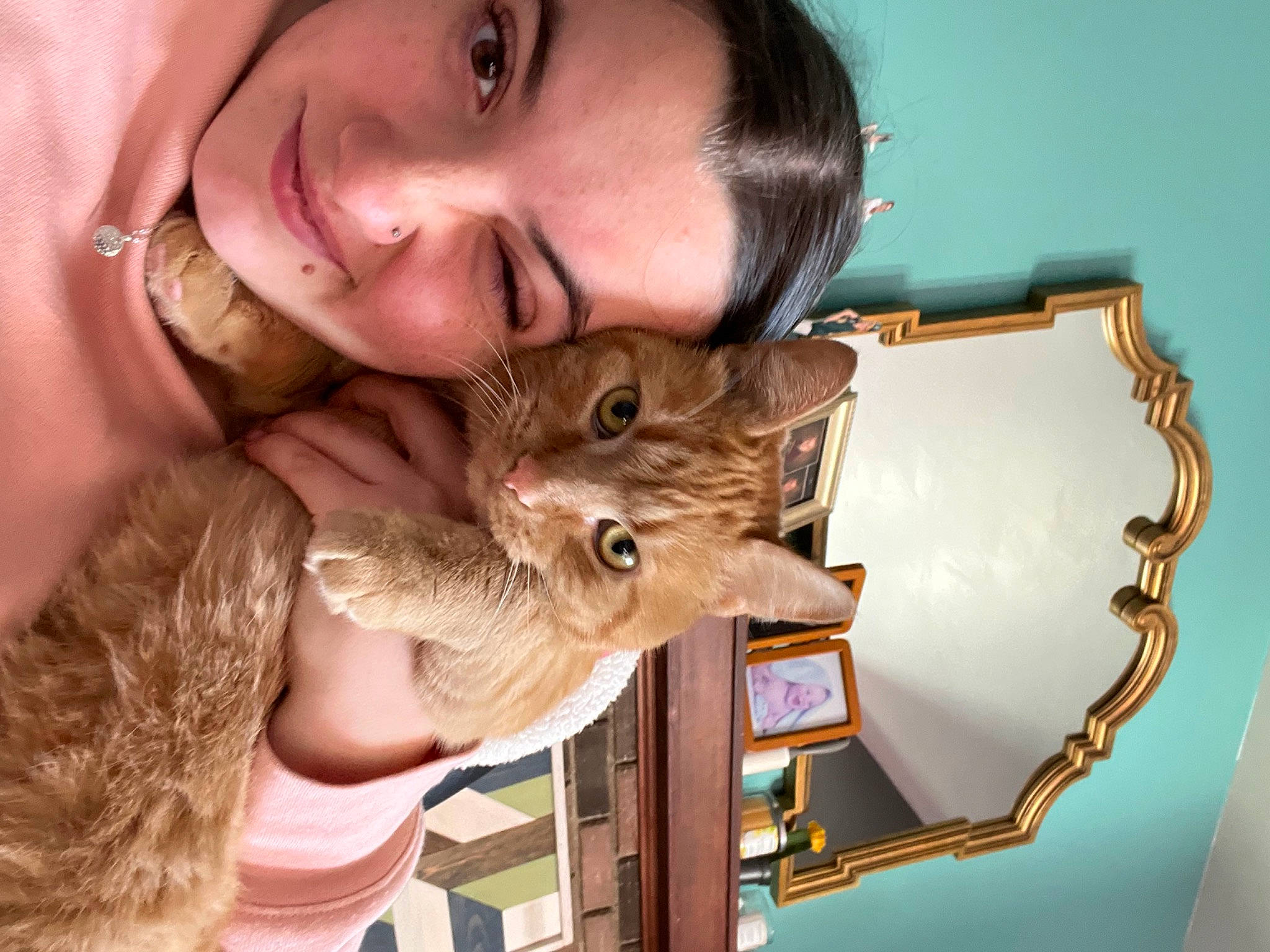 Colby joined the competition — help win amazing prizes! blond, carnivore, cat, claw, companion_dog, domestic_short_haired_cat, ear, fawn, felidae, fun, fur, gesture, happy, picture_frame, selfie, skin, small_to_medium_sized_cats, smile, terrestrial_animal, whiskers