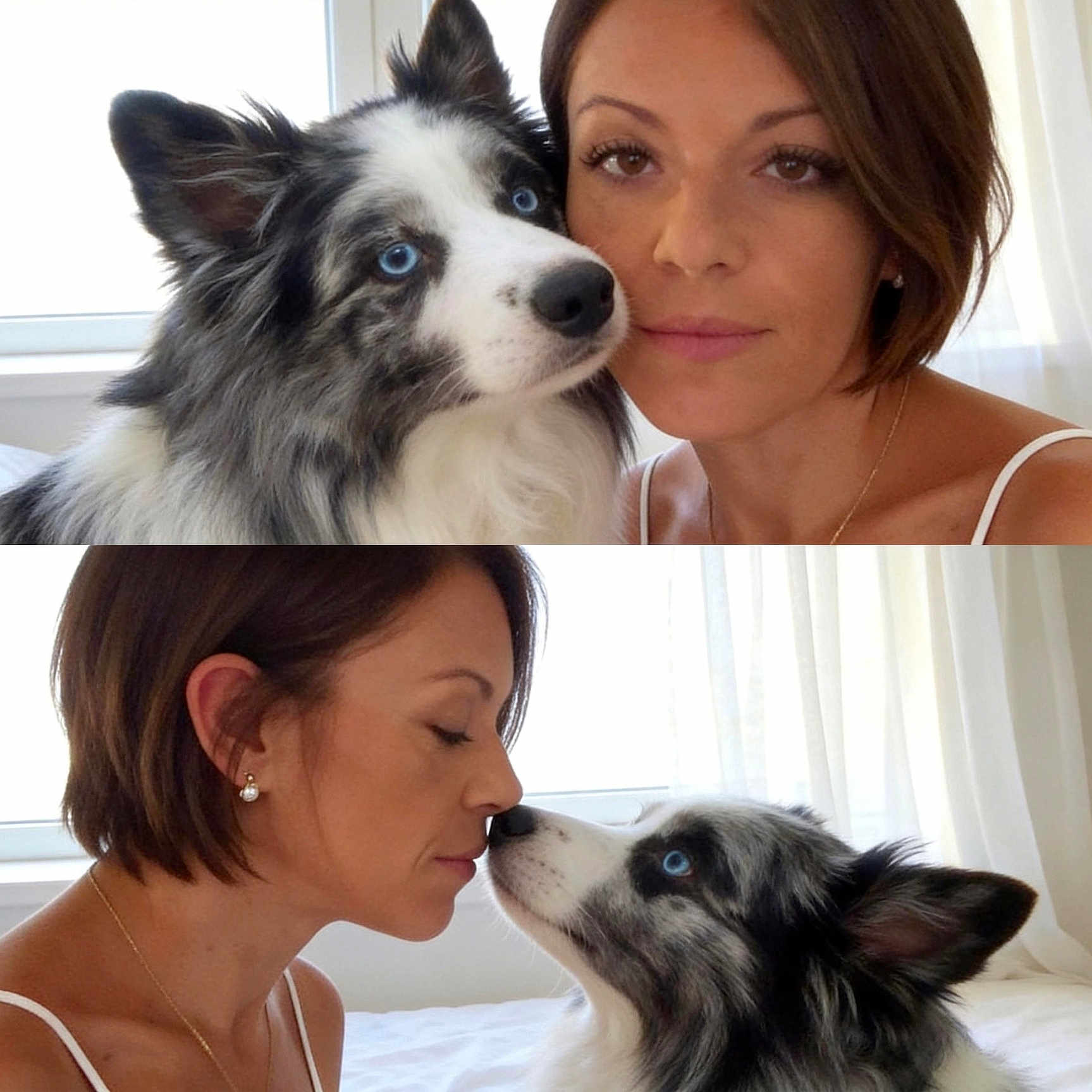 Ryder participe au concours pour gagner de l'argent avec cette photo : affection, animal, bed, blue_eyes, closeup, collage, curtain, dog, eyelashes, female, fur, indoor, nose_touch, person, pet, portrait, short_hair, soft_light, two_panel, window