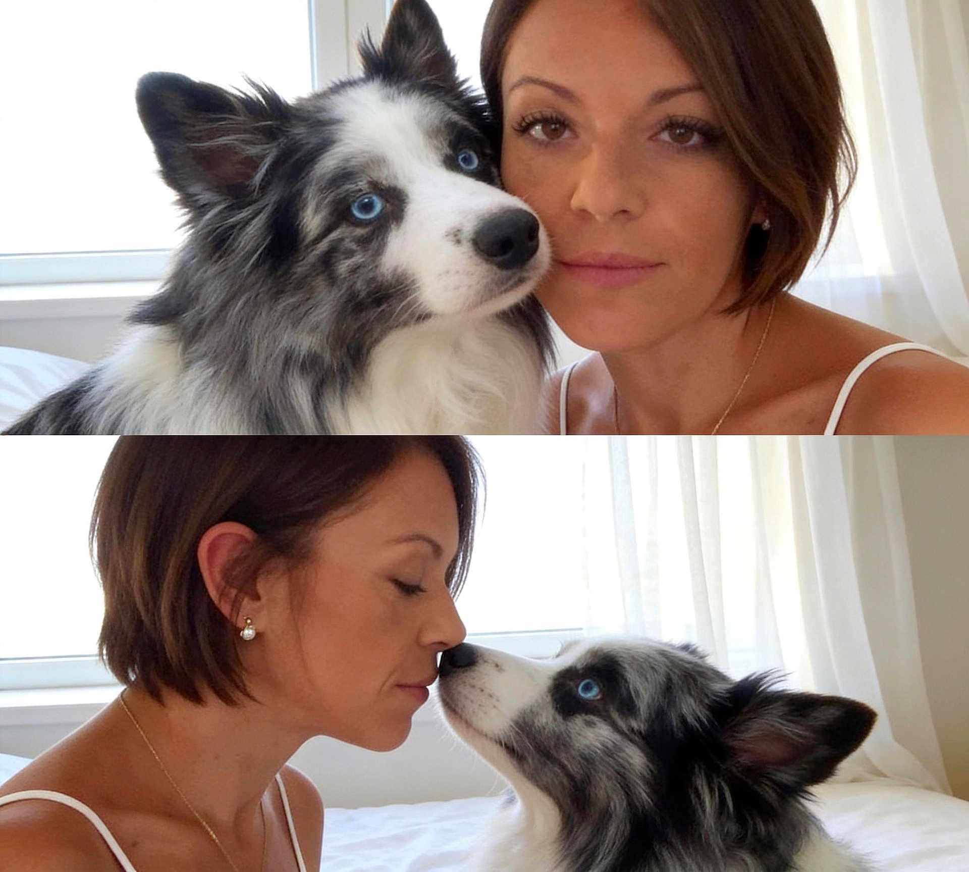 Ryder participe au concours pour gagner de l'argent avec cette photo : dog, person, pet, portrait, blue_eyes, fur, indoor, window, bed, curtain, nose_touch, affection, closeup, two_panel, collage, soft_light, short_hair, female, eyelashes, animal