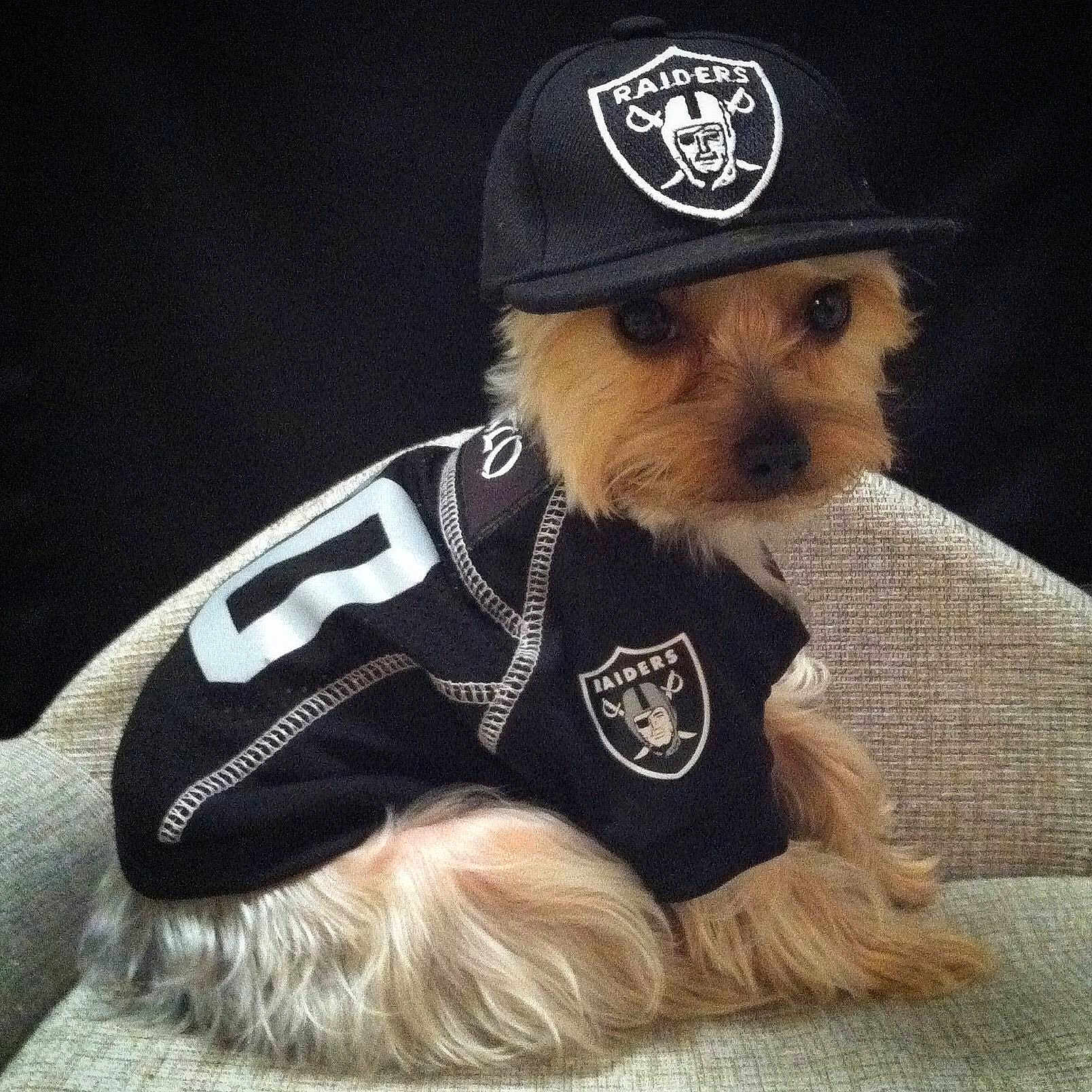 Enzo is registered to the contest to win money with this photo: