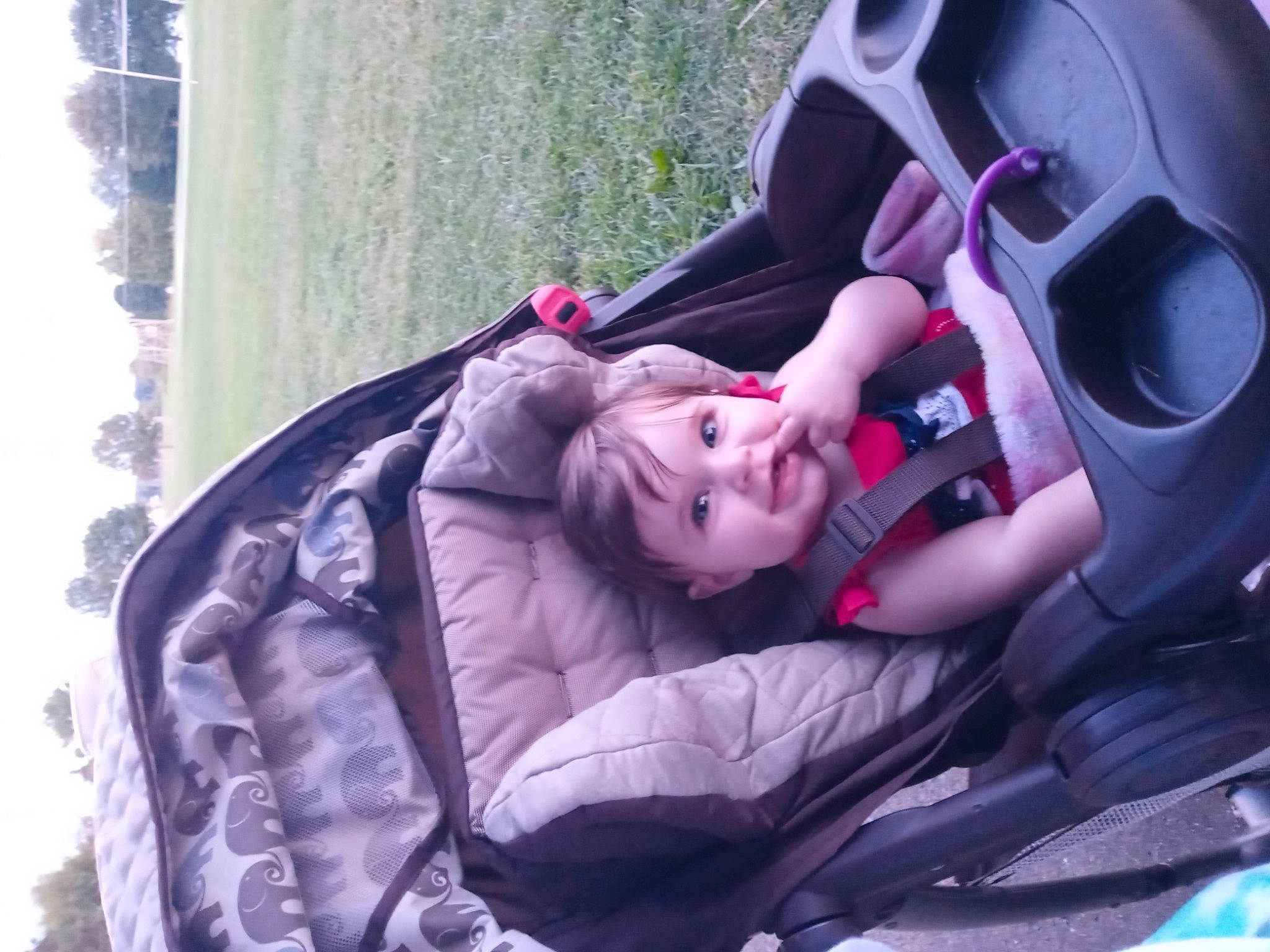 Aurora Raine is registered to the contest to win money with this photo: automotive_design, automotive_exterior, automotive_tire, baby, baby_carriage, car_seat, comfort, fun, grass, motor_vehicle, person, personal_protective_equipment, pink, plant, purple, recreation, toddler, tree, vehicle_door, wheel