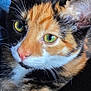 animal, blurred_background, calico_cat, cat, close_up, cute, domestic_cat, ears, face, feline, fur, green_eyes, indoor, looking, nose, pet, portrait, resting, soft_light, whiskers