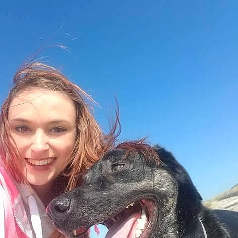 Grizzly joined the competition — help win amazing prizes! canidae, carnivore, companion_dog, dog, dog_breed, fang, flash_photography, fun, fur, gesture, happy, head, jaw, leisure, people_in_nature, sky, smile, sporting_group, travel, working_animal