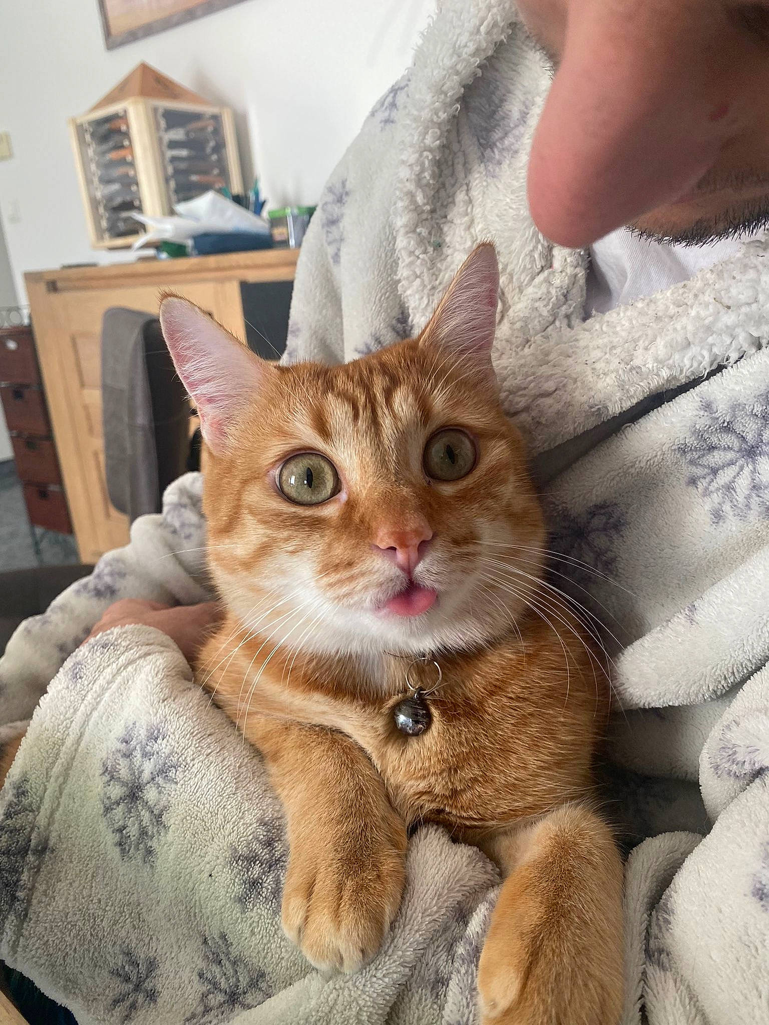 Tigrou.