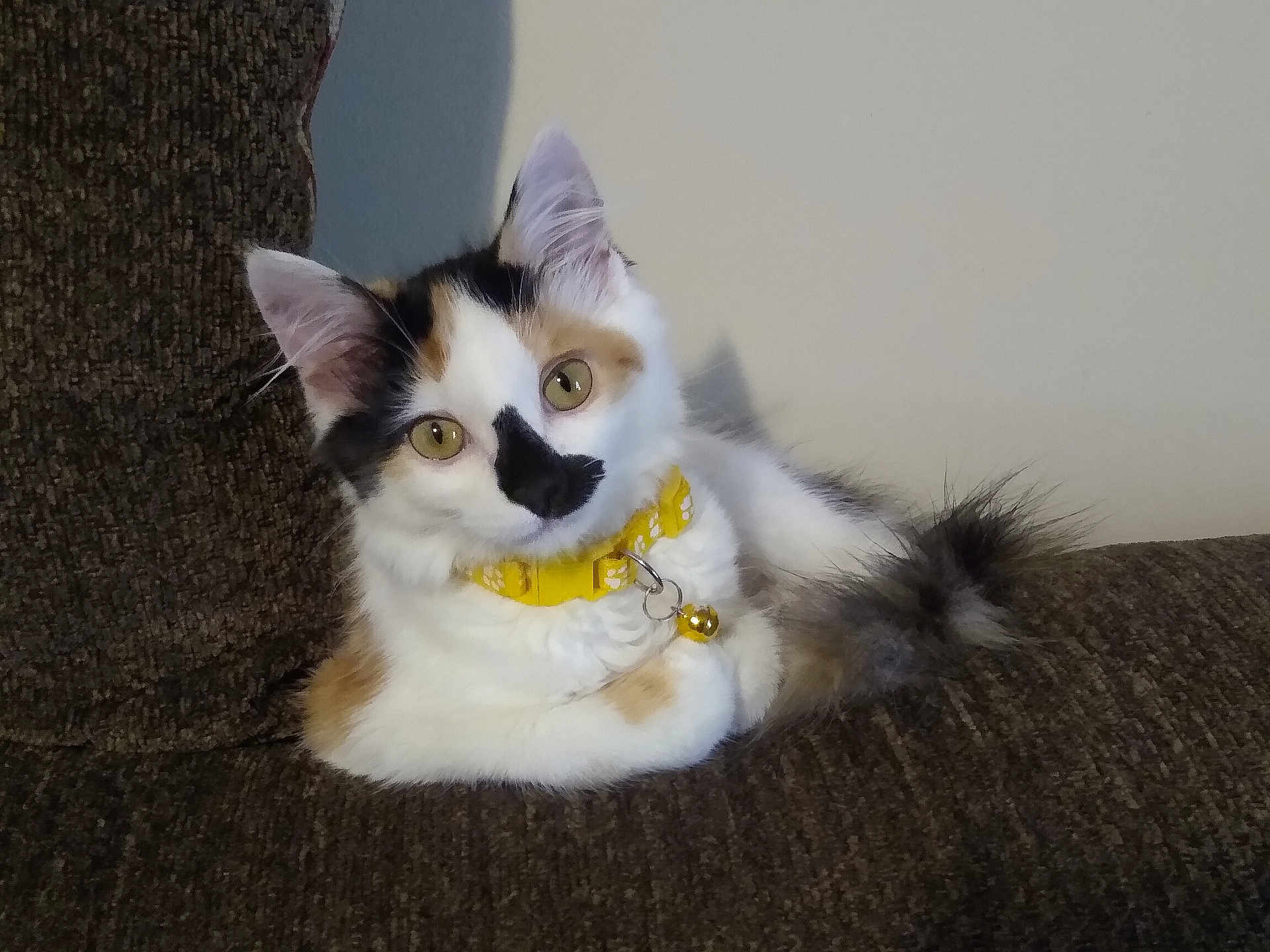 Zoey