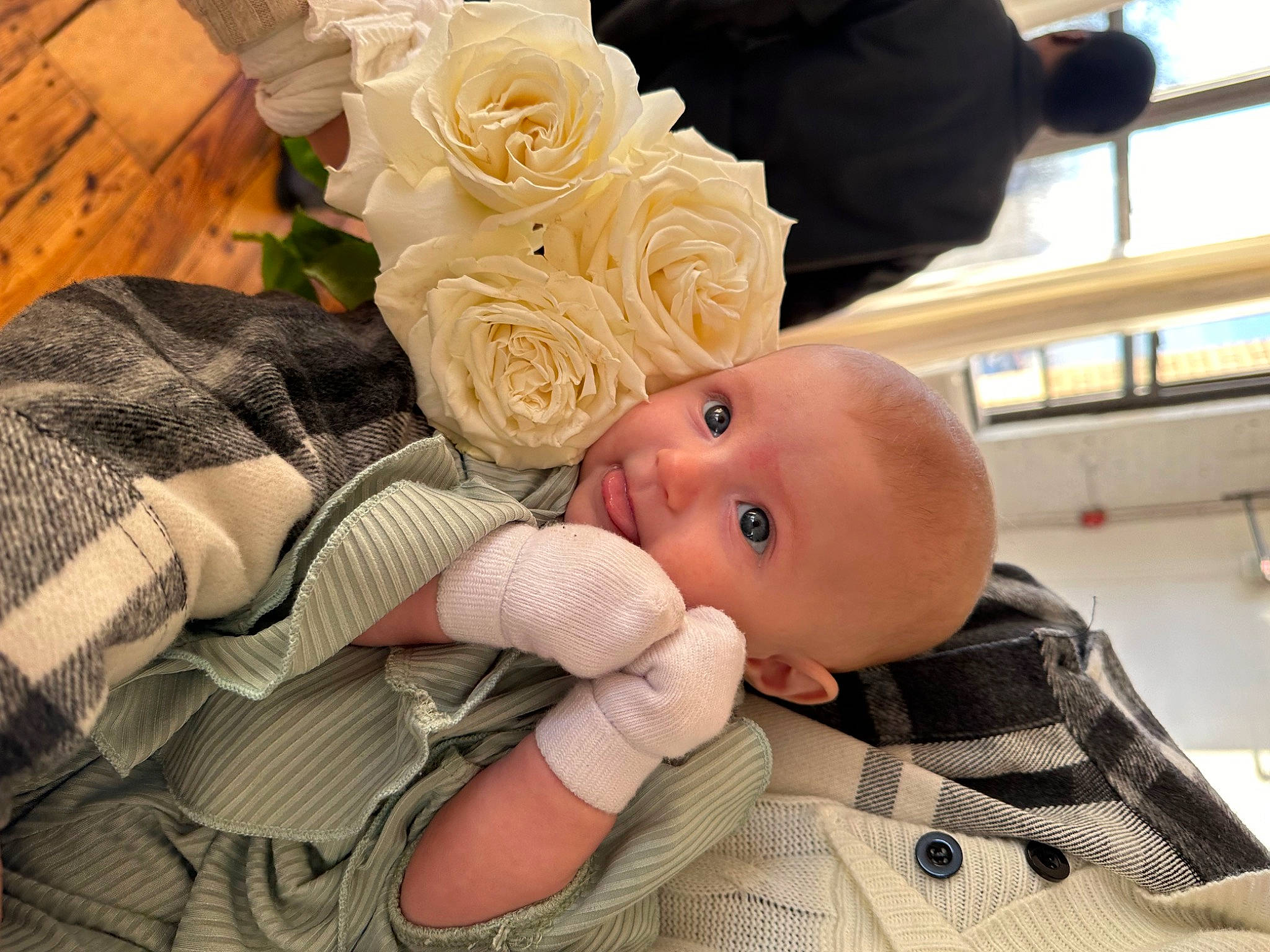 Haven joined the competition — help win amazing prizes! baby, baby_products, baby_safety, baby_sleeping, baby_toddler_clothing, cheek, child, comfort, cut_flowers, flower, garden_roses, hybrid_tea_rose, linens, person, petal, rose, rose_family, rose_order, skin, toddler