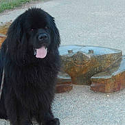 Courtier a rejoint le concours — aidez-le/la à gagner de superbes lots !