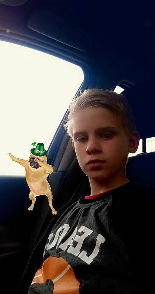 Idriss participe au concours pour gagner de l'argent avec cette photo : active_shirt, carnivore, cool, dog, dog_breed, fictional_character, figurine, person, stuffed_toy, t_shirt, toy