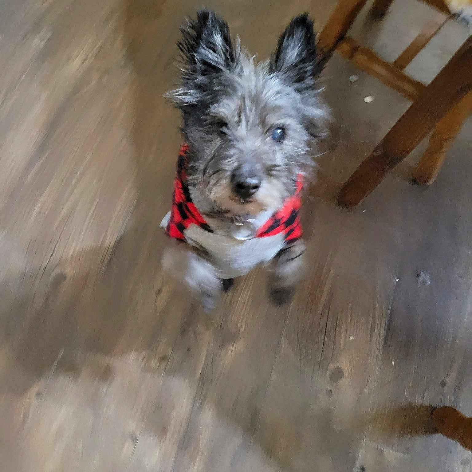 Max