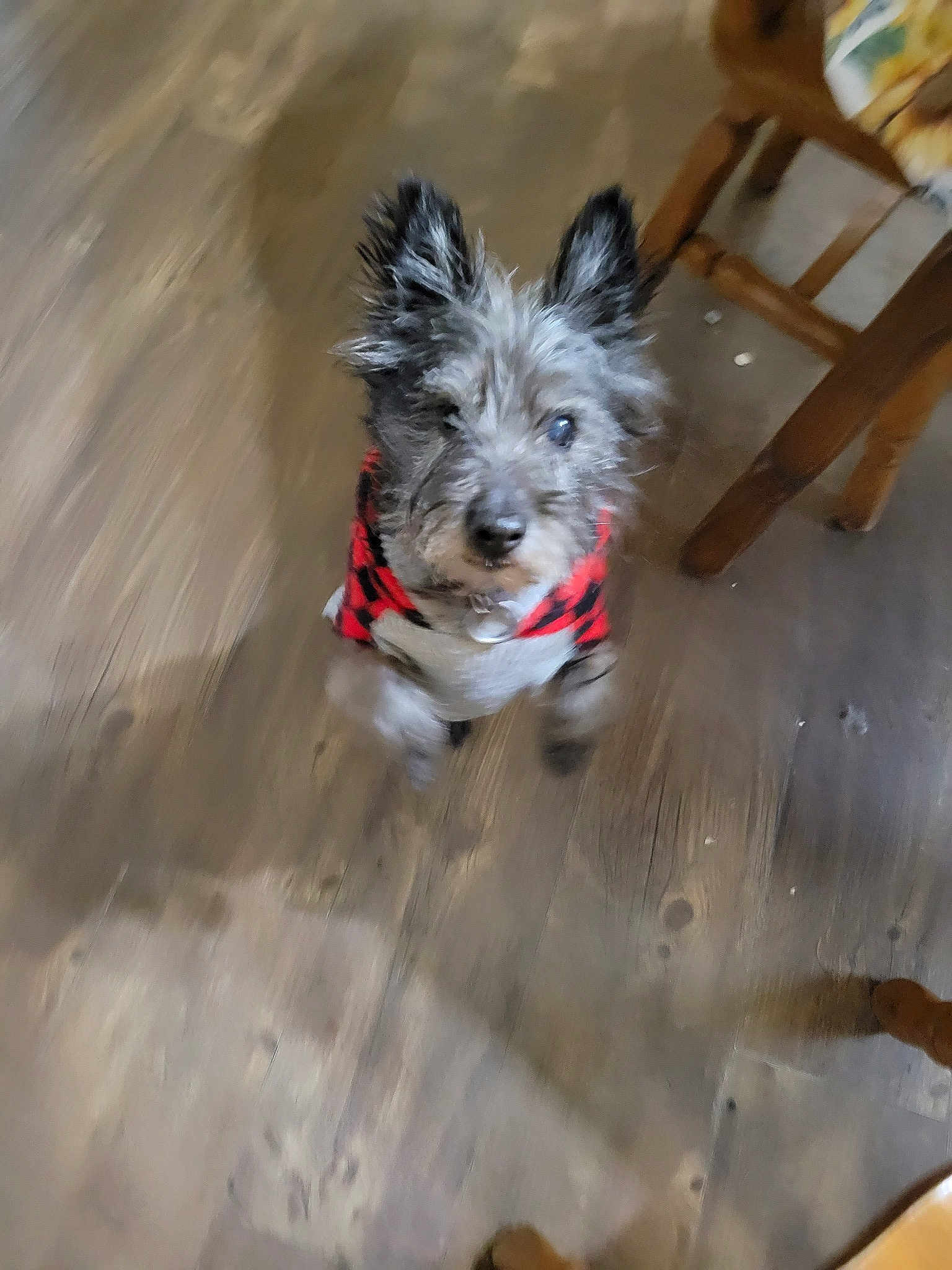 Max