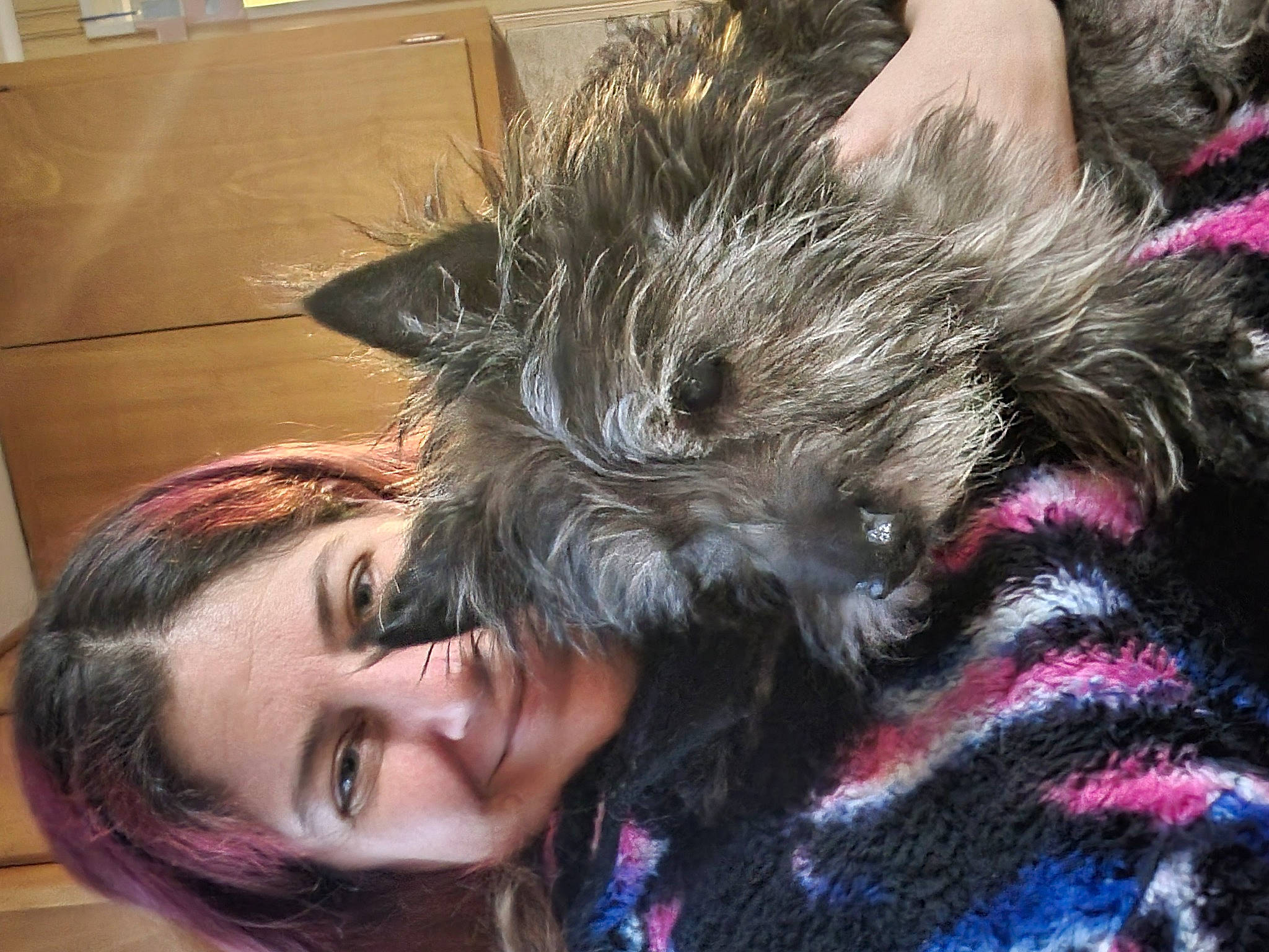 Max is registered to the contest to win money with this photo: carnivore, companion_dog, ear, eye, eyelash, eyewear, fashion_accessory, fawn, felidae, fur, hair_care, hair_coloring, happy, head, long_hair, selfie, small_to_medium_sized_cats, smile, snout, whiskers